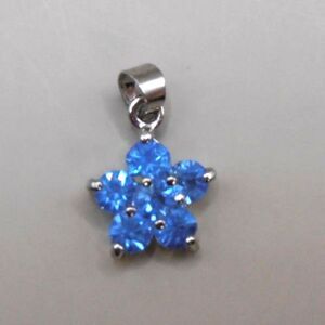 Tanzanite International Blue CZ Star Charm – Carnival Cruise Souvenir